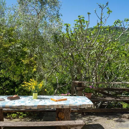 Holiday home Il Castagneto-1 By Interhome *