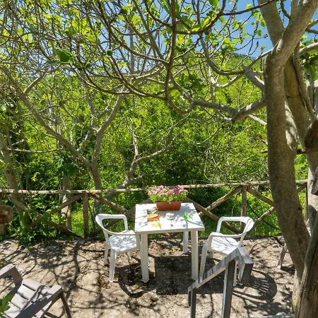 Il Castagneto By Interhome Vakantiehuis Pontassieve